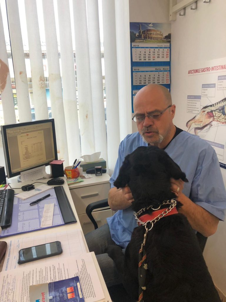 40ae99c6-0680-45e0-a34f-12bc522c69f0 Dr. Mihai Andrei mangaie un catel la VetCenter Otopeni