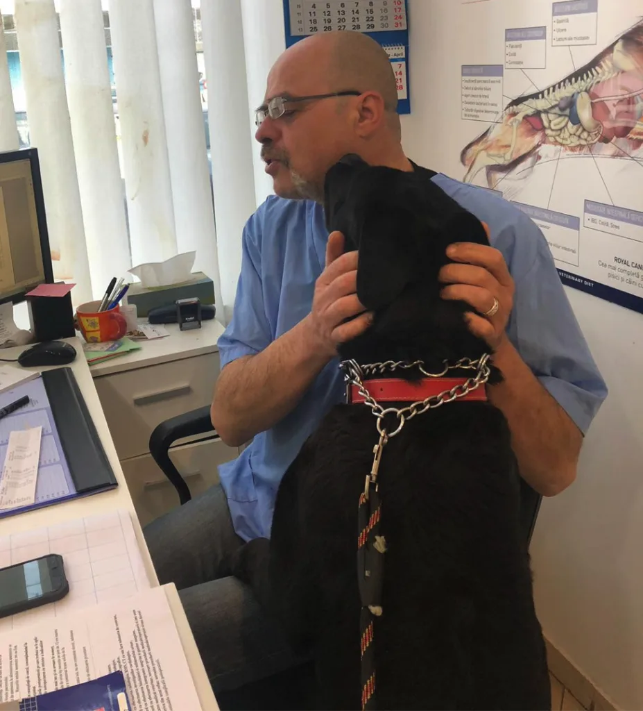Dr. Mihai Andrei lins de un caine la VetCenter Otopeni