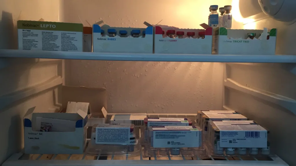 Fiole cu vaccin depozitate in mod profesionist in laboratorul VetCenter Otopeni